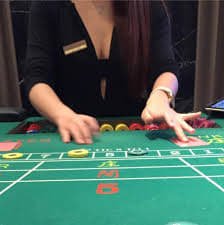 b1 bet login