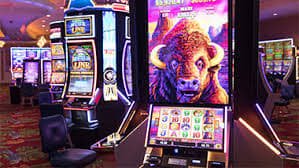 b1 bet login